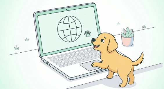 Direkt im Browser